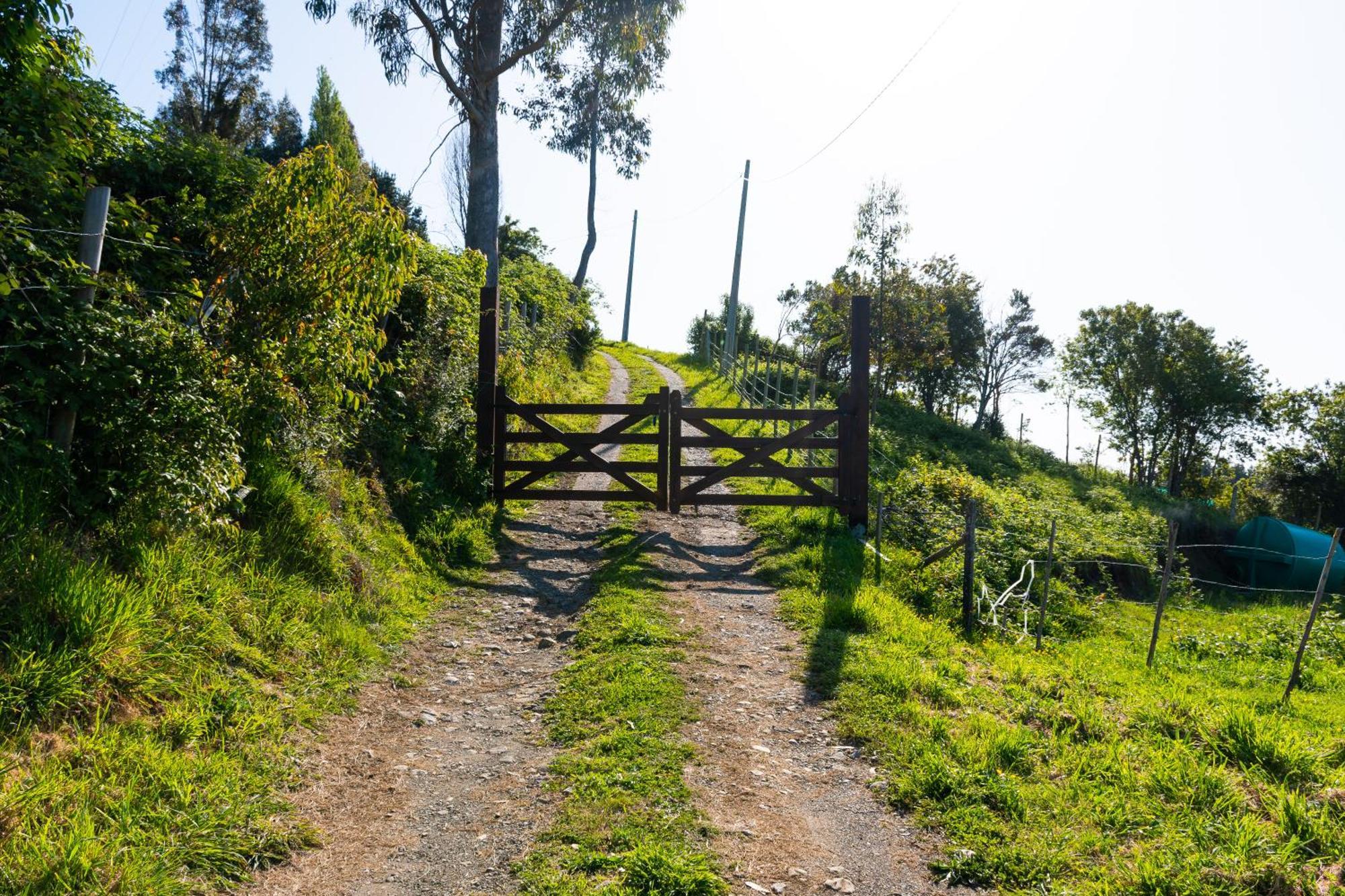 Cabanas Mirador Población Lago Ranco Zewnętrze zdjęcie